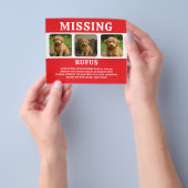 Vermisstes Haustier oder vermisste Person Personal Flyer (Gruppe)