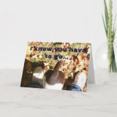 Vermisstes Ihr aber (t)! Karte (Vorderseite)