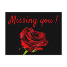 Vermisstes rote Rose Foto