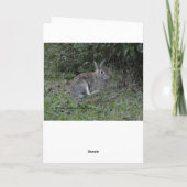 Vermisstes Sie/Kaninchen Karte (Rückseite)