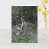 Vermisstes Sie/Kaninchen Karte (Gelbe Blume)