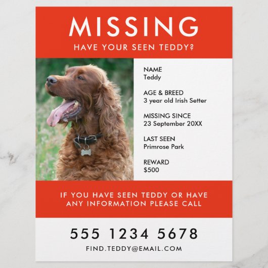 Vermisstes Tier | Moderner Red Foto Poster Flyer (Hinten)