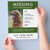 Vermisstes Tier | Modernes Green Foto Poster Flyer (Hand)