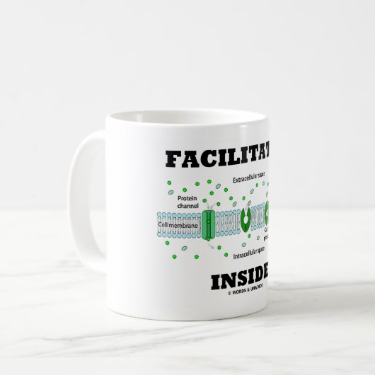 Vermittler-Innere (erleichterte Diffusion) Kaffeetasse (Vorderseite Links)