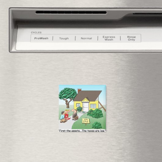 Vermögenswerte aus echtem Anwesen Magnet (In Situ (Geschirrspüler))