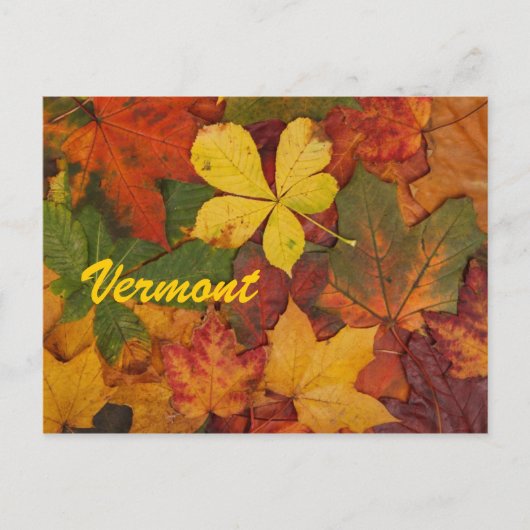 Vermont Autumn Leaves Postcard Postkarte (Vorderseite)