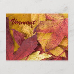 Vermont Autumn Leaves Postcard Postkarte