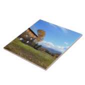 Vermont Barn Keramik Tile Fliese (Seite)
