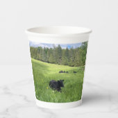 Vermont Black Cows, Papiertasse Pappbecher (Vorderseite)