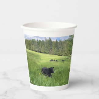 Vermont Black Cows, Papiertasse Pappbecher