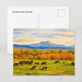 Vermont Camels Hump Postkarte (Vorne/Hinten)