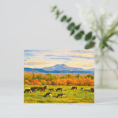 Vermont Camels Hump Postkarte (Stehend Vorderseite)