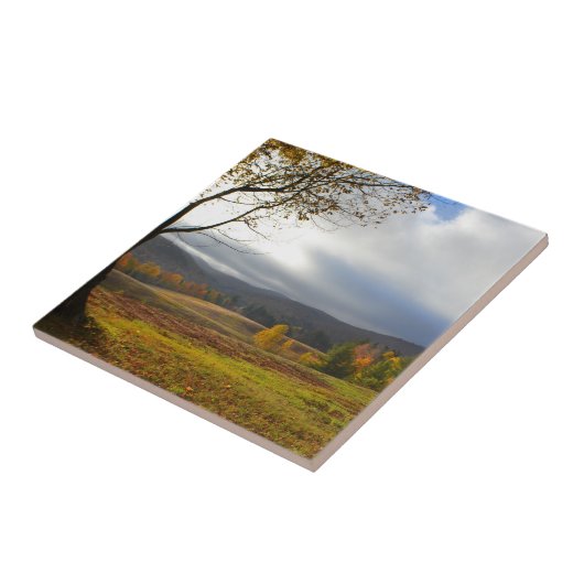 Vermont Cloudy Fall Day Tile Fliese (Seite)