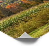 Vermont Corn Field im Herbst Poster (Ecke)