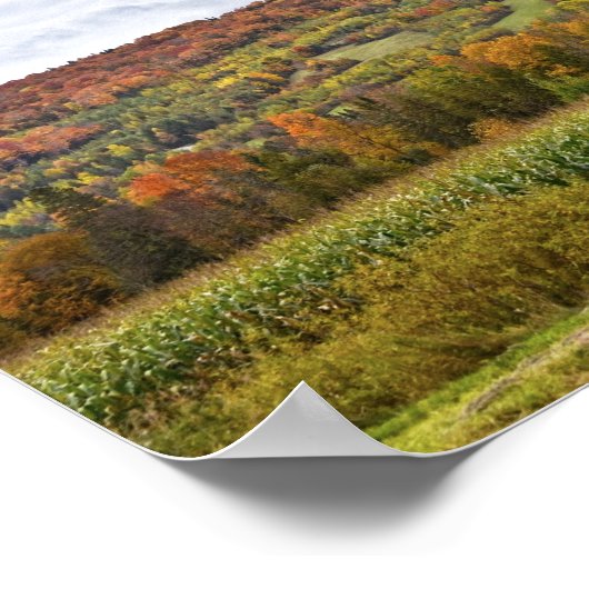 Vermont Corn Field im Herbst Poster (Ecke)