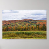 Vermont Corn Field im Herbst Poster (Vorne)