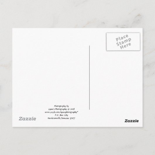 Vermont Diner - Postkarte (Rückseite)