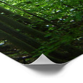 VERMONT FOREST POSTER (Ecke)