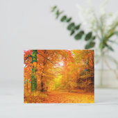 Vermont-Herbst-Geldstrafe-Natur-Landschaft Postkarte (Stehend Vorderseite)