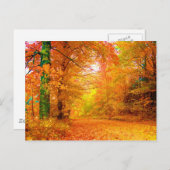 Vermont-Herbst-Geldstrafe-Natur-Landschaft Postkarte (Vorne/Hinten)