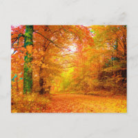 Vermont-Herbst-Geldstrafe-Natur-Landschaft