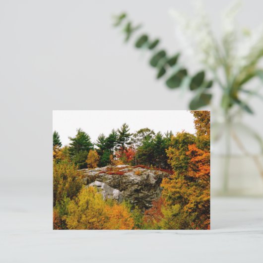 Vermont Herbst Postkarte (Stehend Vorderseite)