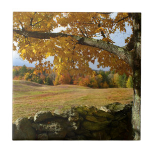 Vermont Herbstansicht Tile Fliese
