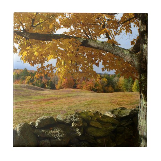 Vermont Herbstansicht Tile Fliese (Vorderseite)