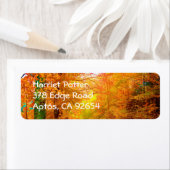 Vermont Herbstlandschaft (Insitu)