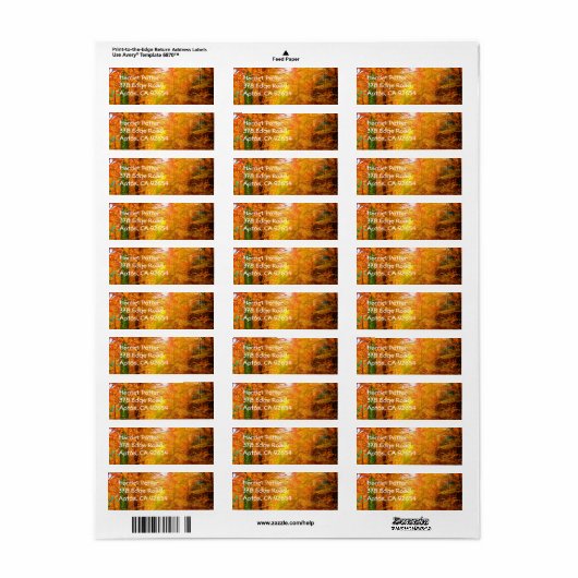 Vermont Herbstlandschaft (Vorne)