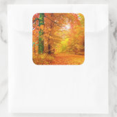 Vermont Herbstlandschaft Quadratischer Aufkleber (Tasche)