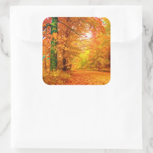 Vermont Herbstlandschaft Quadratischer Aufkleber (Tasche)
