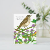 Vermont Hermit Thrush Clover Postkarte (Stehend Vorderseite)