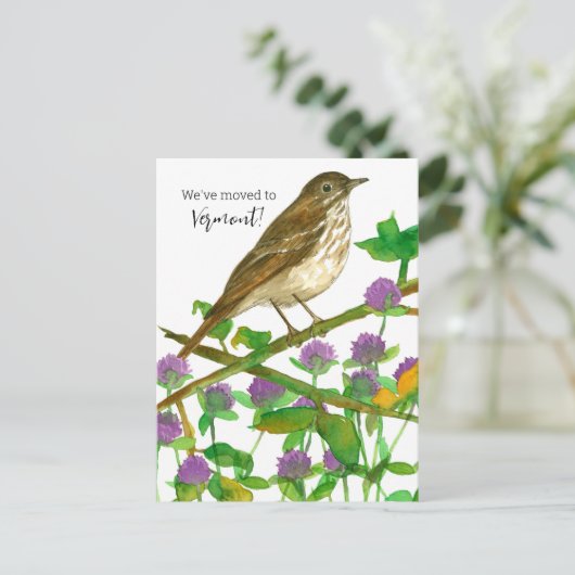 Vermont Hermit Thrush Clover Postkarte (Stehend Vorderseite)