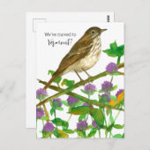 Vermont Hermit Thrush Clover Postkarte (Vorne/Hinten)