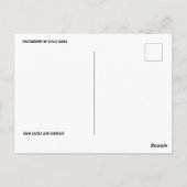 VERMONT IM FREIEN WINTERESSEN POSTCARDS POSTKARTE (Rückseite)