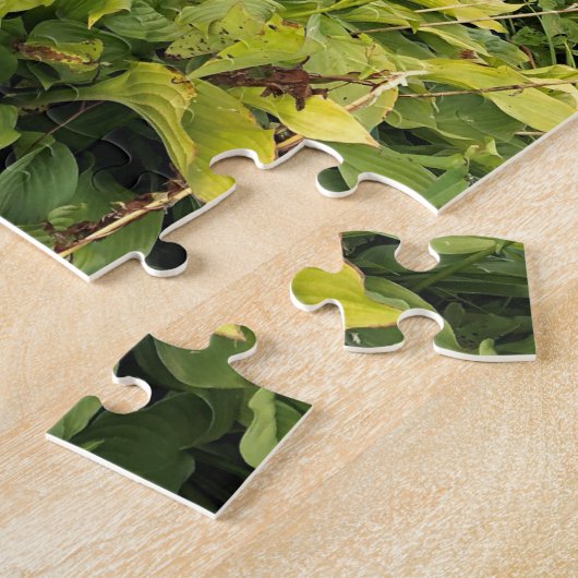 Vermont im Herbst Puzzle (Seite)