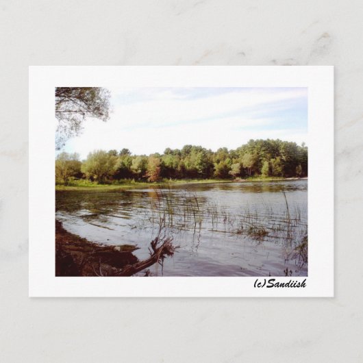 Vermont Lake Front Postkarte (Vorderseite)