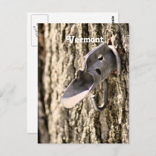 Vermont Maple Stechend Postkarte (Vorne/Hinten)