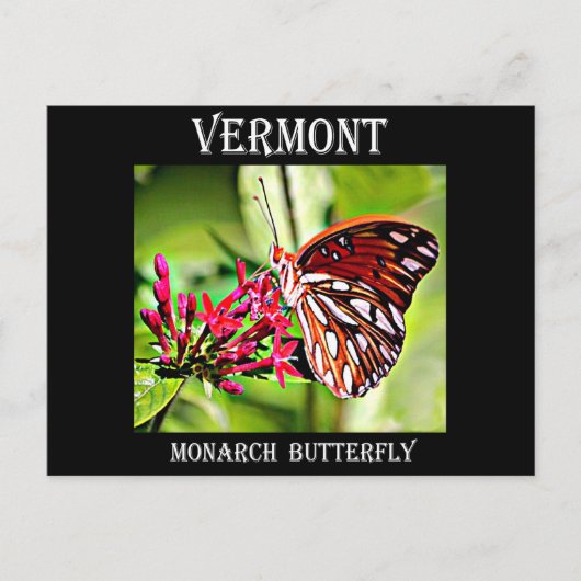 Vermont Monarch Butterfly Postkarte (Vorderseite)