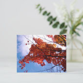 Vermont Postkarte 1 (Stehend Vorderseite)