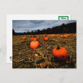 Vermont Pumpkin Patch Postkarte (Vorne/Hinten)