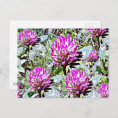 Vermont Red Clover Postkarte (Vorne/Hinten)