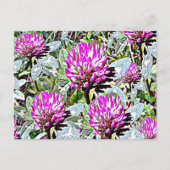 Vermont Red Clover Postkarte (Vorderseite)