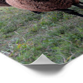 Vermont Sheep Begrüßungsausschuss Poster (Ecke)