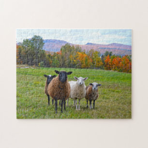 Vermont Sheep im Herbst Puzzle