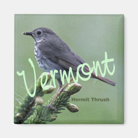 Vermont Staat Bird Hermit Thrush Kühlschrankmagnet (Vorne)