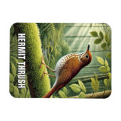 Vermont Staat Bird Hermit Thrush Magnet (Horizontal)