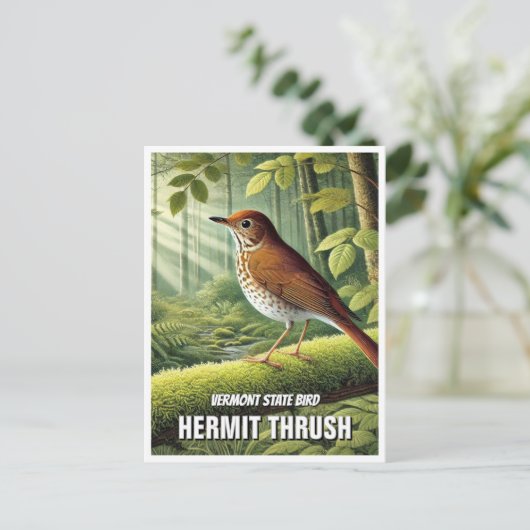 Vermont Staat Bird Hermit Thrush Postkarte (Stehend Vorderseite)