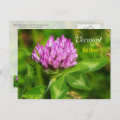 Vermont Staat Blume: Rote Klee Postkarte (Vorne/Hinten)